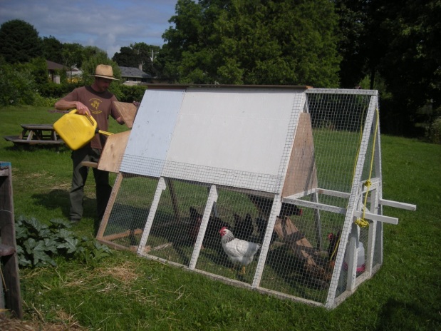 Chicken Tractor Modifications